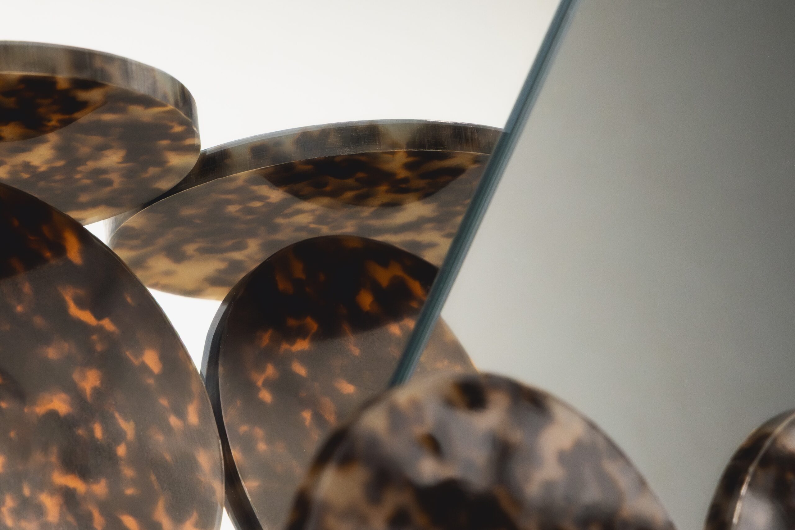 Celion plates in front of mirror